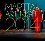 Kmantis Martial Art Night 2014